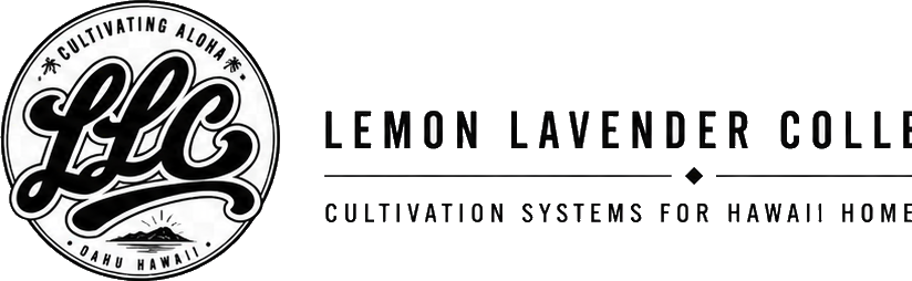 Lemon Lavender Collective